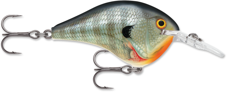 Rapala DT Series Crankbait DT-4