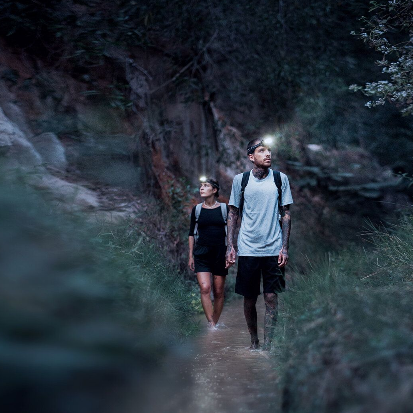 LedLenser HF4R Signature Black Headlamp