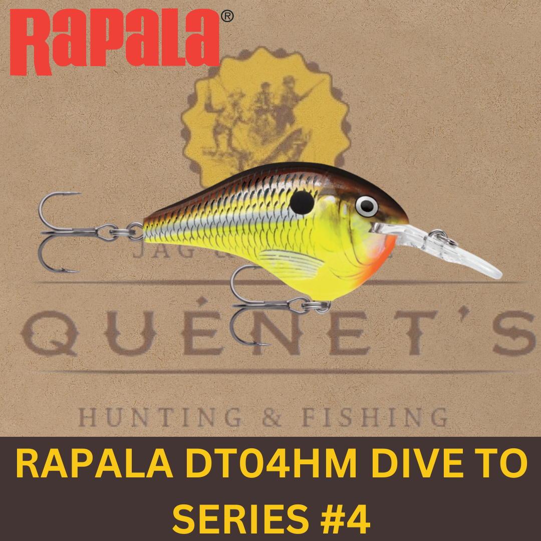 Rapala DT04 Dive-To Series #4 HM