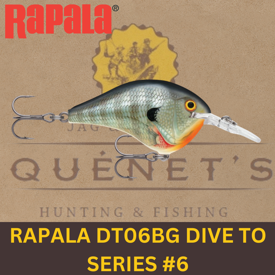 Rapala DT06 Dive-To Series #6 BG