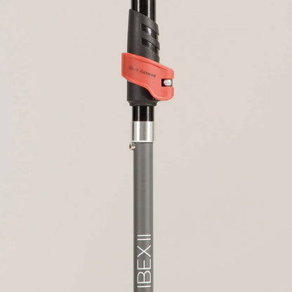 First Ascent Ibex II Walking Pole