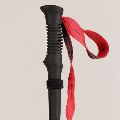 First Ascent Ibex II Walking Pole