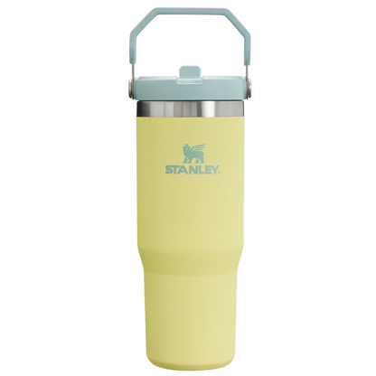 Stanley IceFlow Flip Straw Tumbler