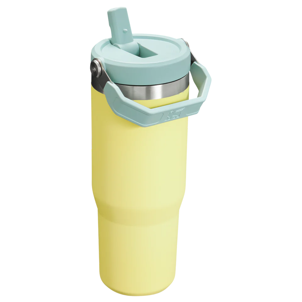 Stanley IceFlow Flip Straw Tumbler