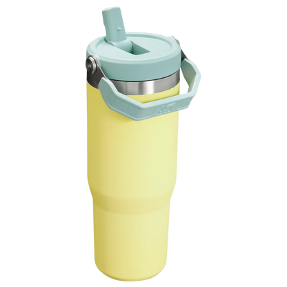 Stanley IceFlow Flip Straw Tumbler