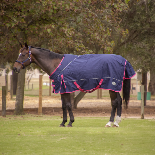 Solo Saddlers Storm Buster Outdoor Duvet Horse Blanket 145 cm Navy