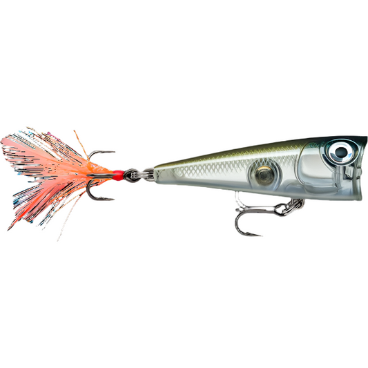 Rapala X-Light Pop Ghost Shad