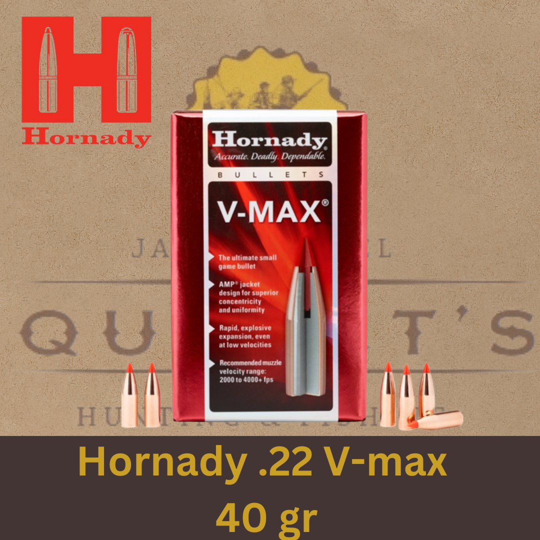 Hornady .22 V-max 40 gr