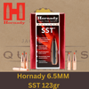 Hornady 6.5MM SST 123gr