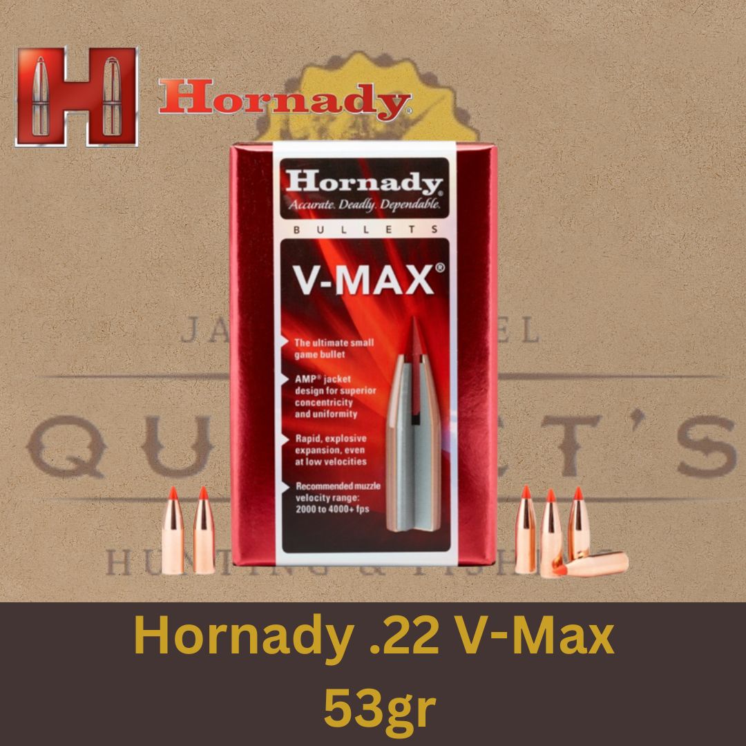 Hornady .22 V-Max 53gr