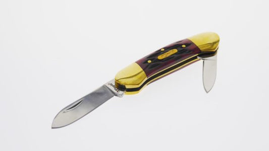 Maple Brentoni Two-Blade Pocket Knife Bone Handle