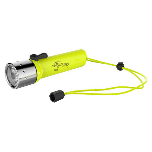 Ledlenser D14.2 Diving Torch Neon