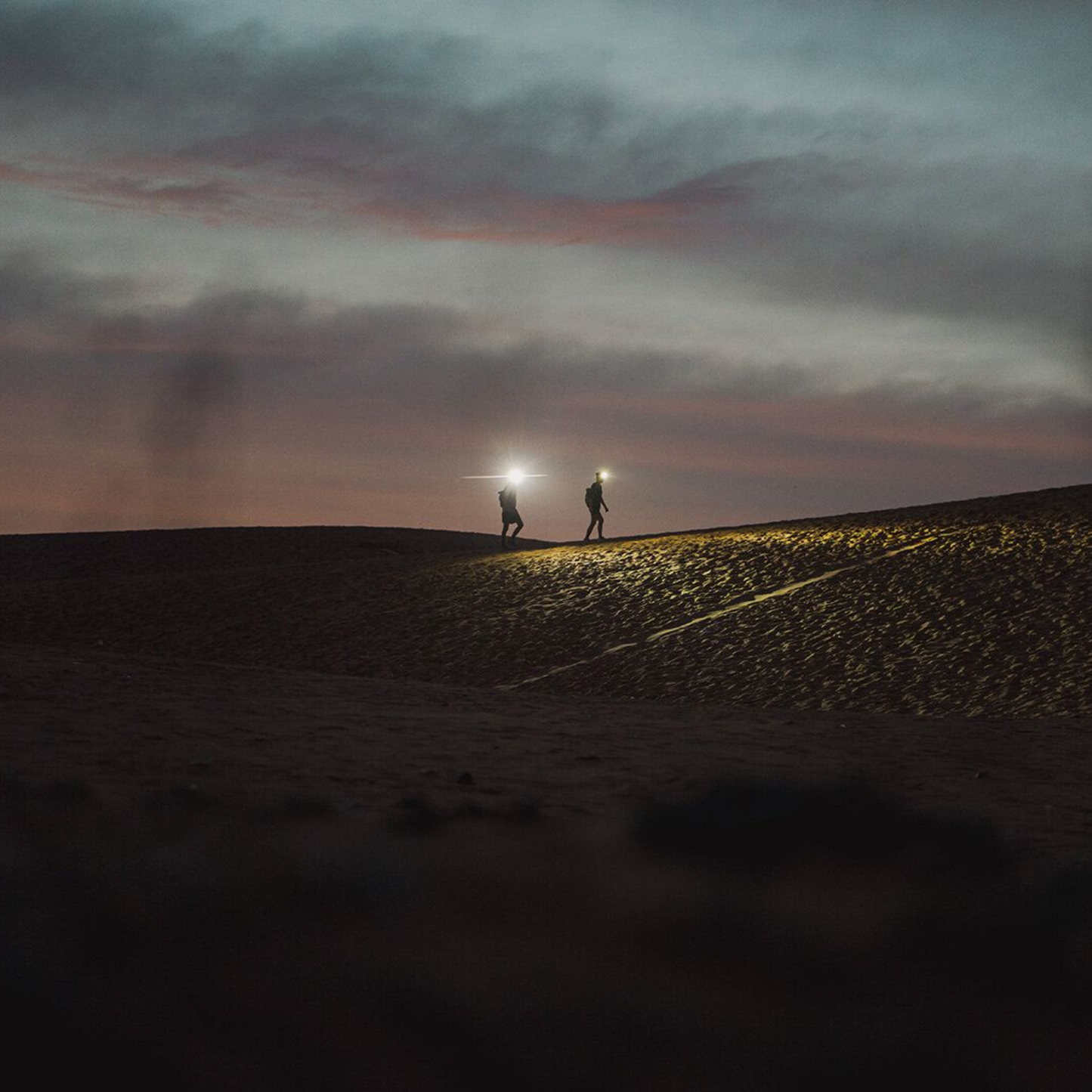 LedLenser HF4R Signature Black Headlamp