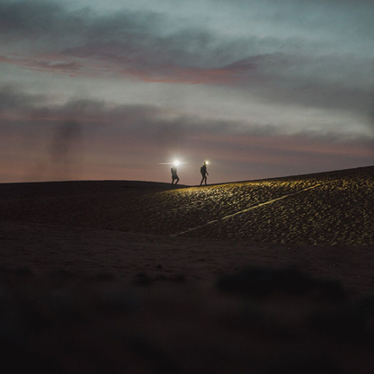 LedLenser HF4R Signature Black Headlamp