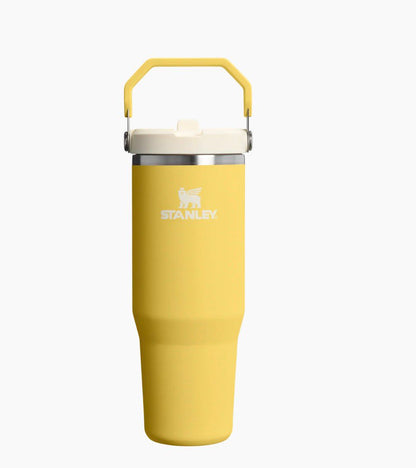 Stanley IceFlow Flip Straw Tumbler