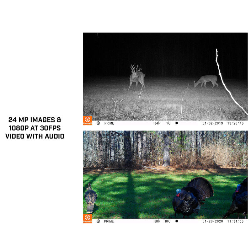 Bushnell Prime 24MP Low Glow Trail Camera