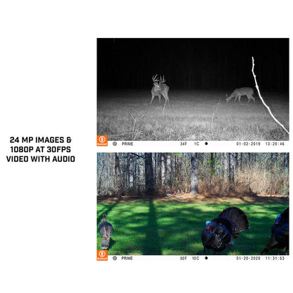 Bushnell Prime 24MP Low Glow Trail Camera